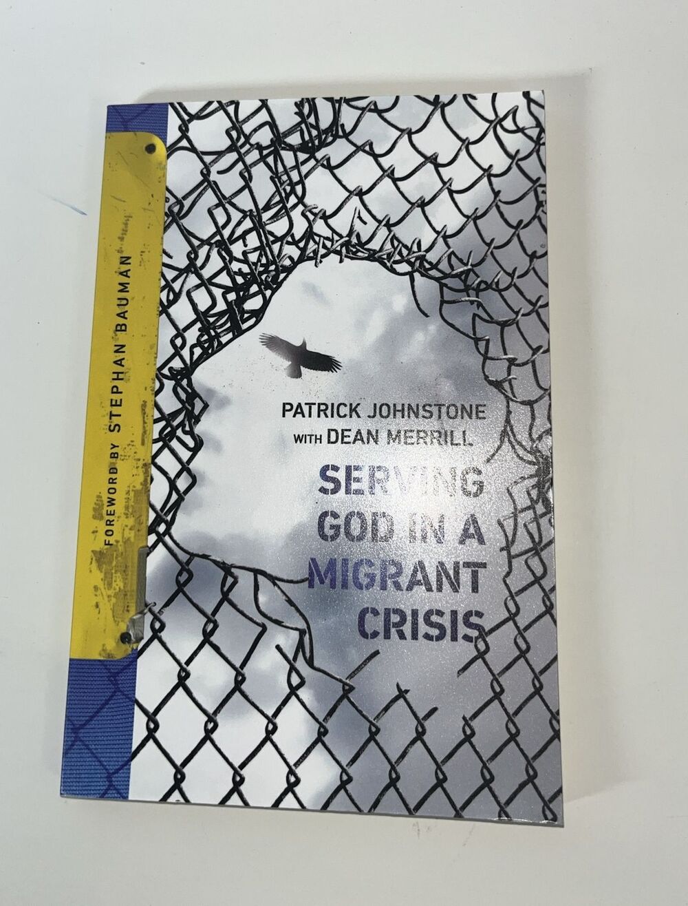 Serving God in a Migrant Crisis : Ministry to People on the Move by Patrick...